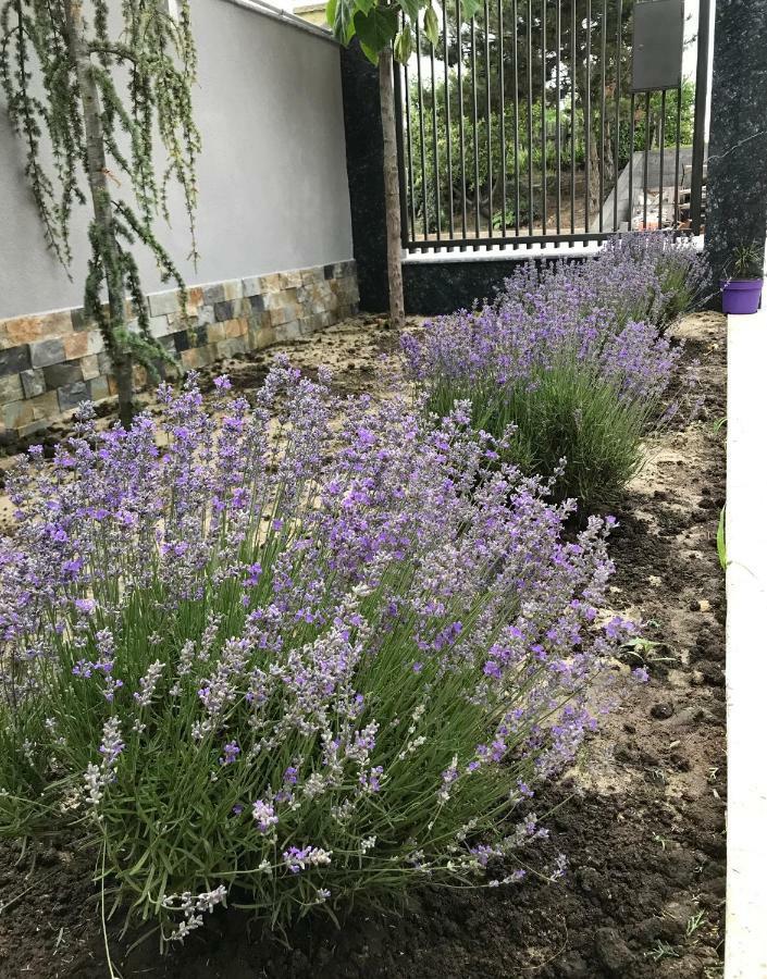Mav Boutique Villa Eforie Nord Dış mekan fotoğraf